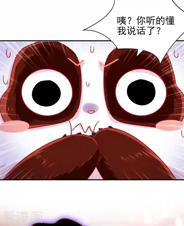 天降萌宝小熊猫：萌妃来袭第29话 要不老实交代？