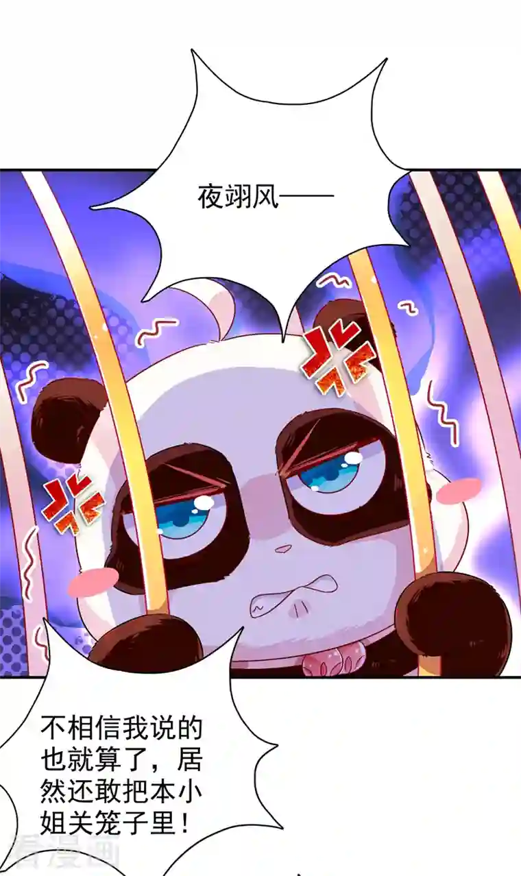 天降萌宝小熊猫：萌妃来袭第30话 你是妖精