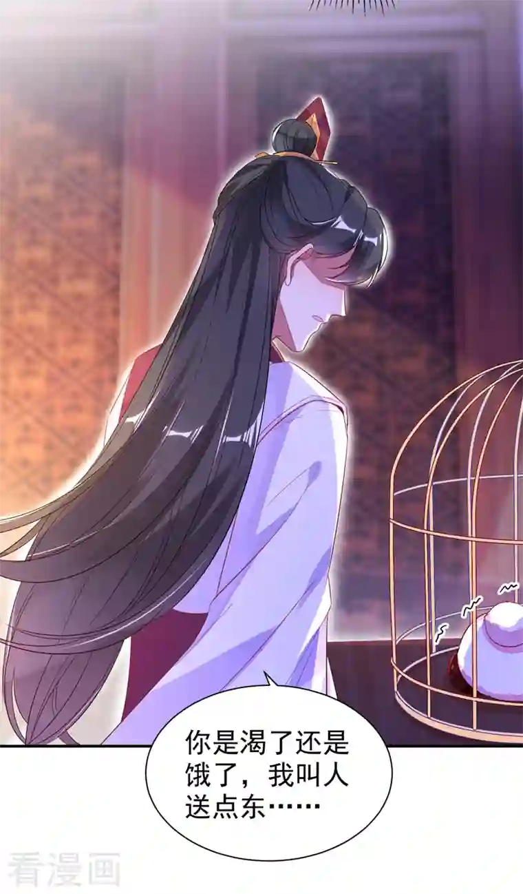 天降萌宝小熊猫：萌妃来袭第31话 苏冉冉发烧