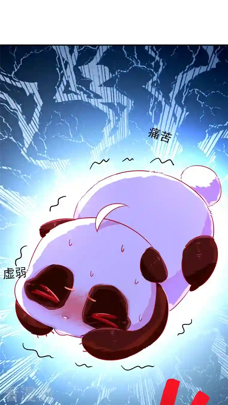 天降萌宝小熊猫：萌妃来袭第31话 苏冉冉发烧