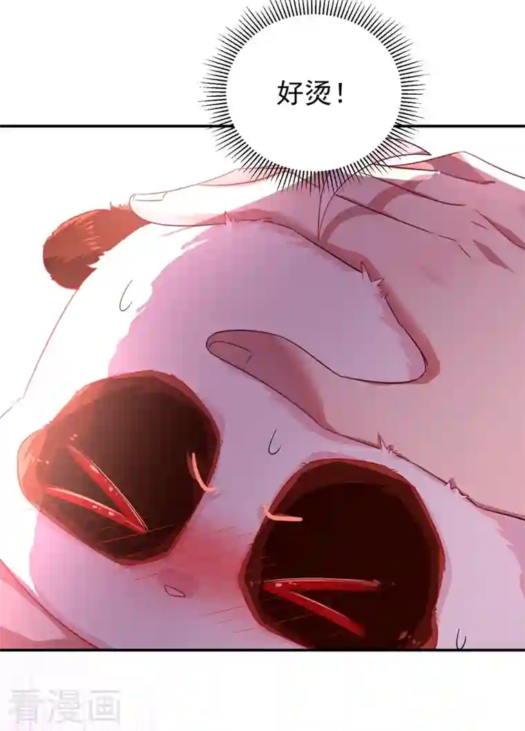 天降萌宝小熊猫：萌妃来袭第31话 苏冉冉发烧