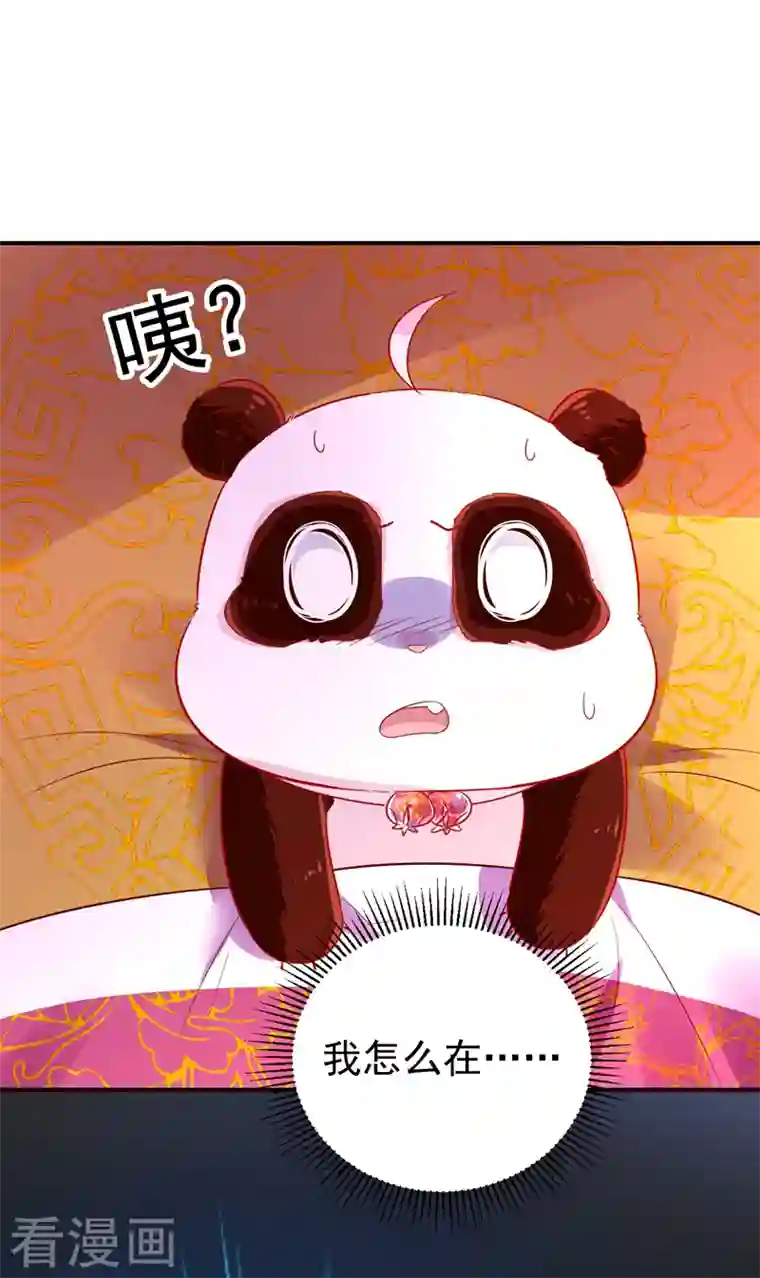 天降萌宝小熊猫：萌妃来袭第32话 隔离十四天