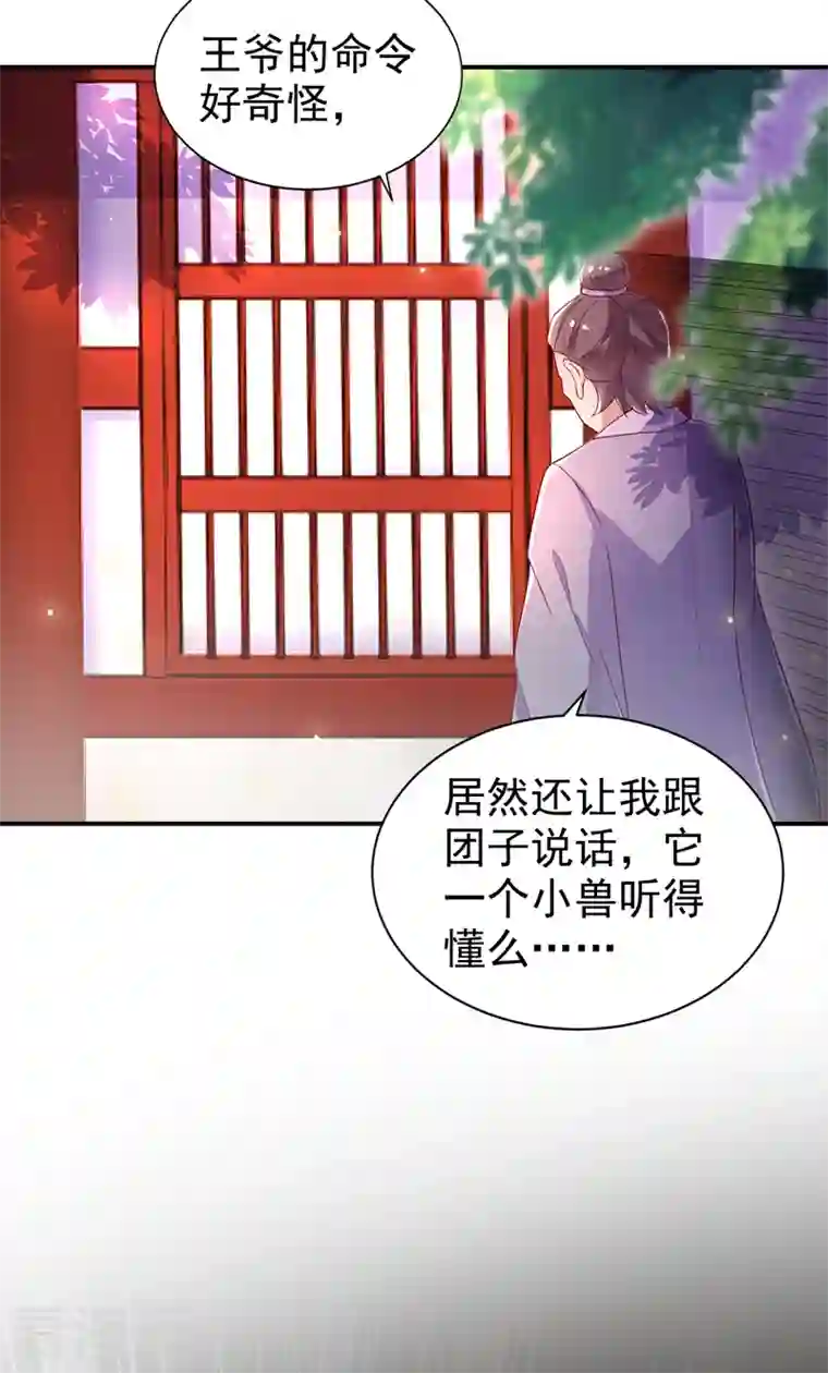 天降萌宝小熊猫：萌妃来袭第33话 上房揭瓦