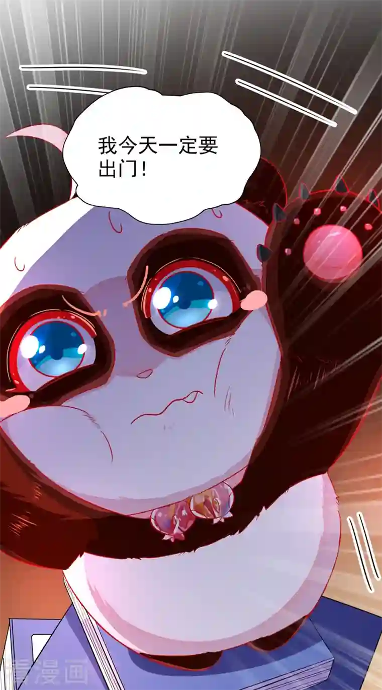 天降萌宝小熊猫：萌妃来袭第33话 上房揭瓦