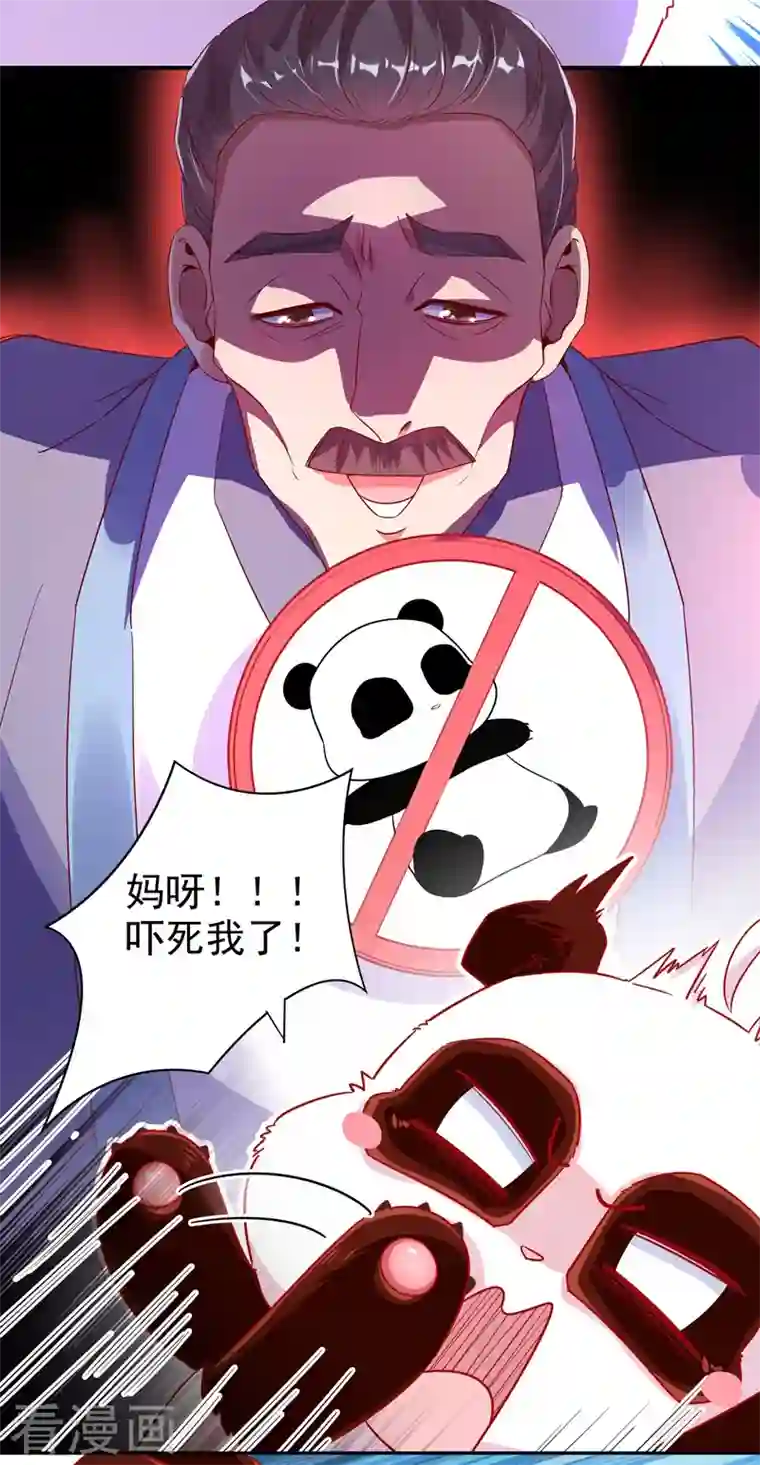 天降萌宝小熊猫：萌妃来袭第33话 上房揭瓦