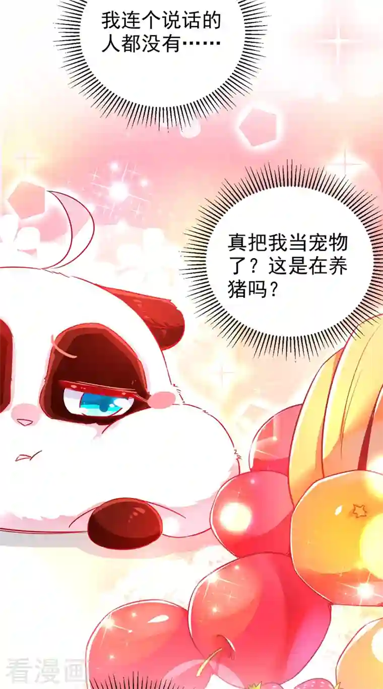 天降萌宝小熊猫：萌妃来袭第33话 上房揭瓦