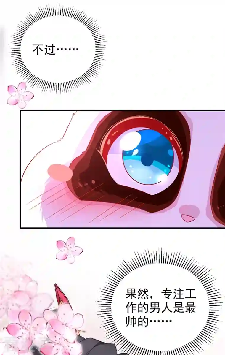 天降萌宝小熊猫：萌妃来袭第34话 红袖添香