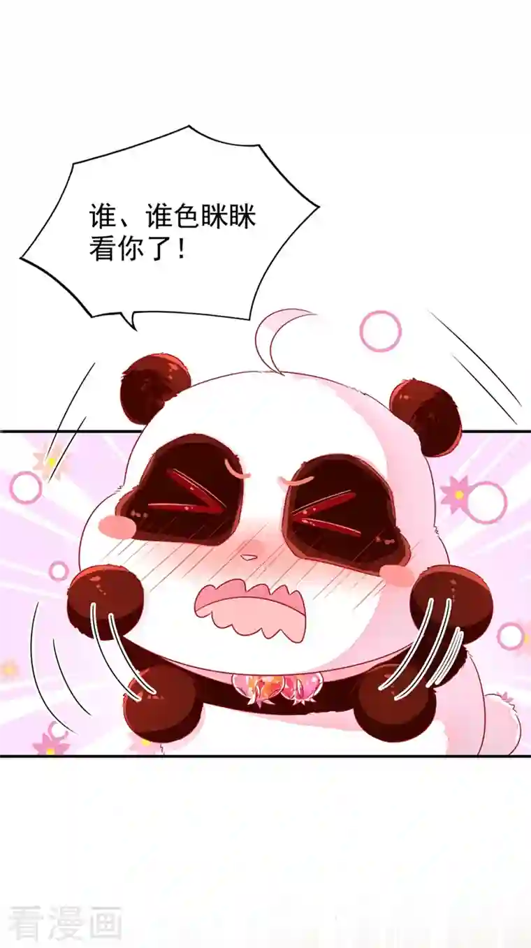 天降萌宝小熊猫：萌妃来袭第34话 红袖添香