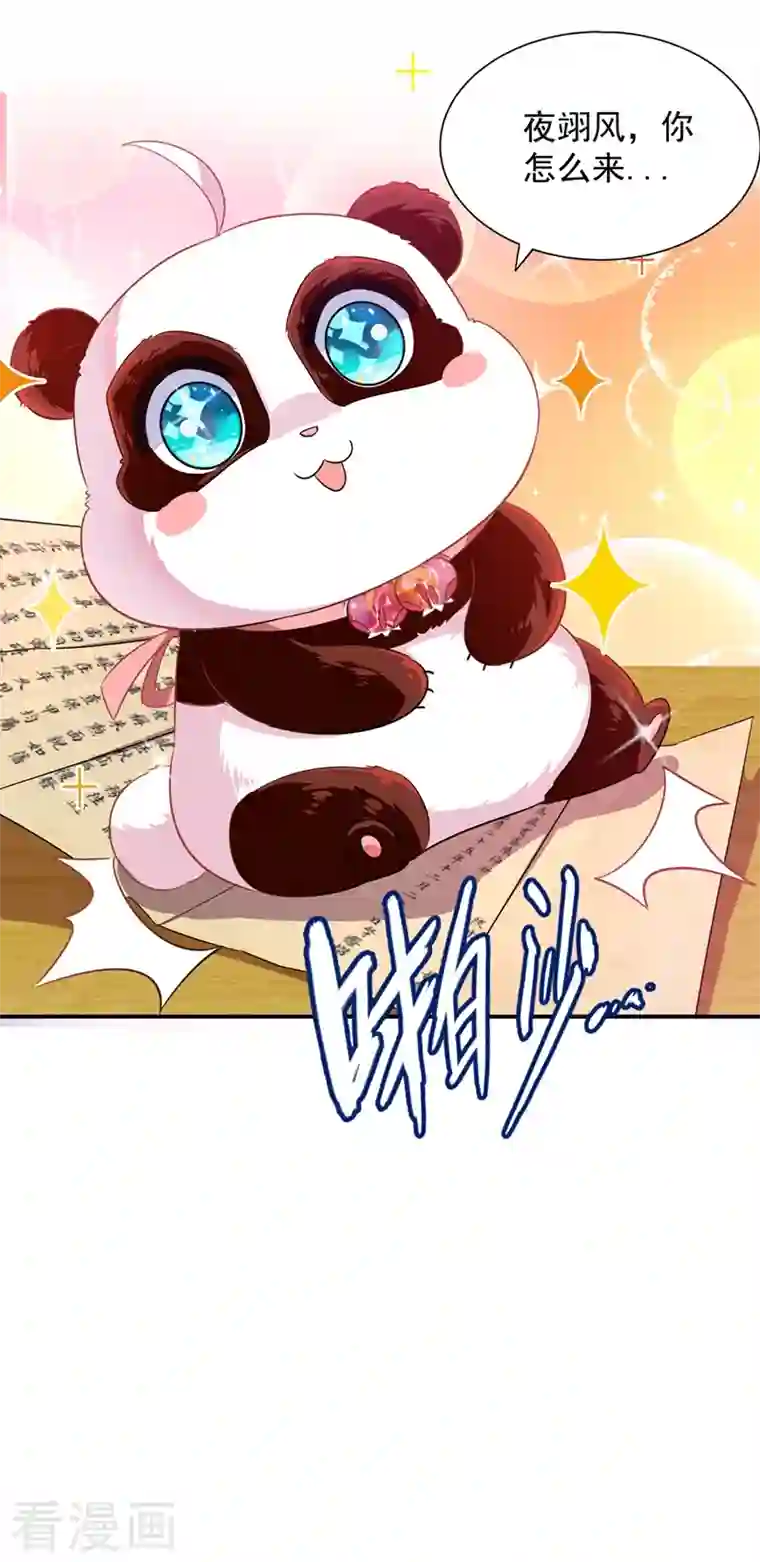 天降萌宝小熊猫：萌妃来袭第34话 红袖添香