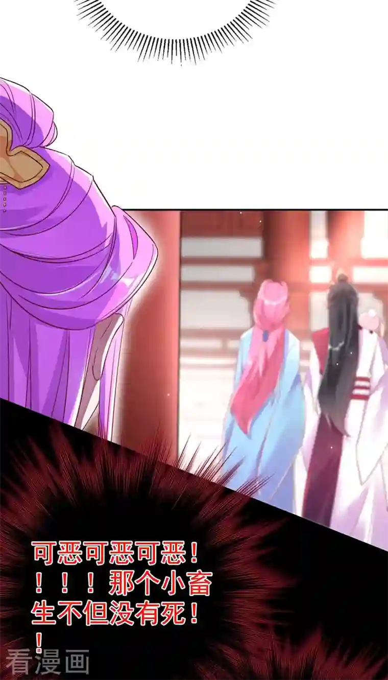 天降萌宝小熊猫：萌妃来袭第36话 一只毒舌的孔雀