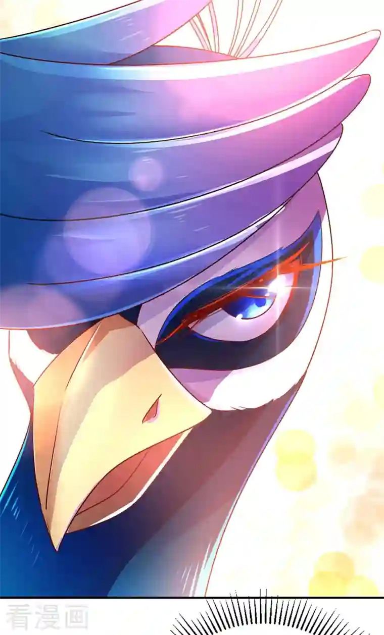 天降萌宝小熊猫：萌妃来袭第36话 一只毒舌的孔雀