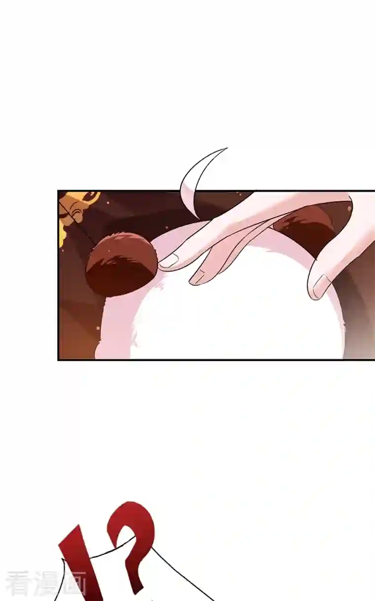 天降萌宝小熊猫：萌妃来袭第36话 一只毒舌的孔雀