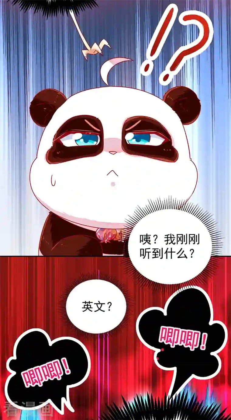 天降萌宝小熊猫：萌妃来袭第37话 会八国语言的网红孔雀