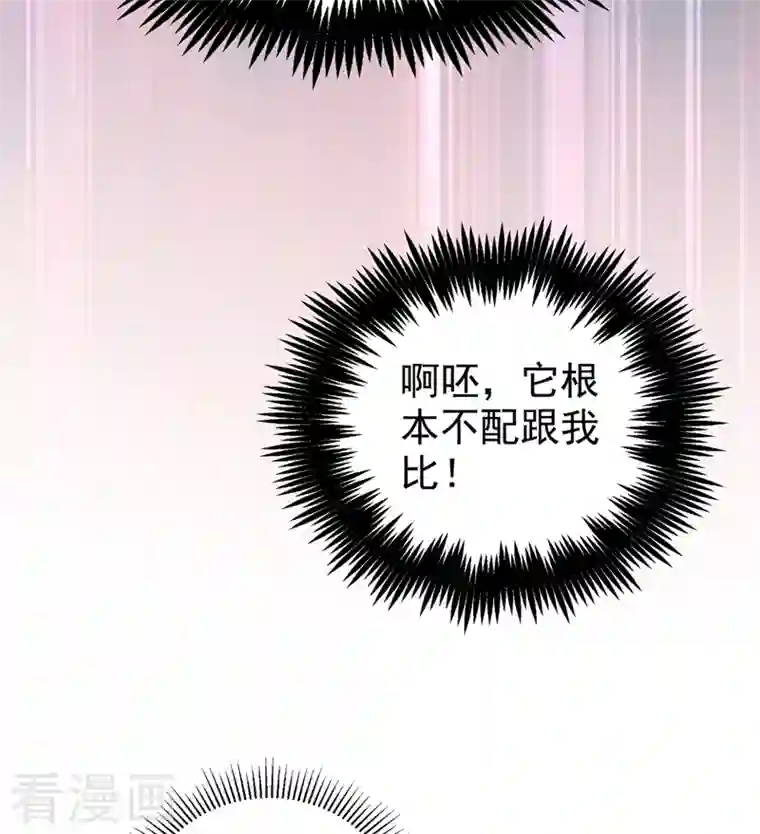 天降萌宝小熊猫：萌妃来袭第37话 会八国语言的网红孔雀