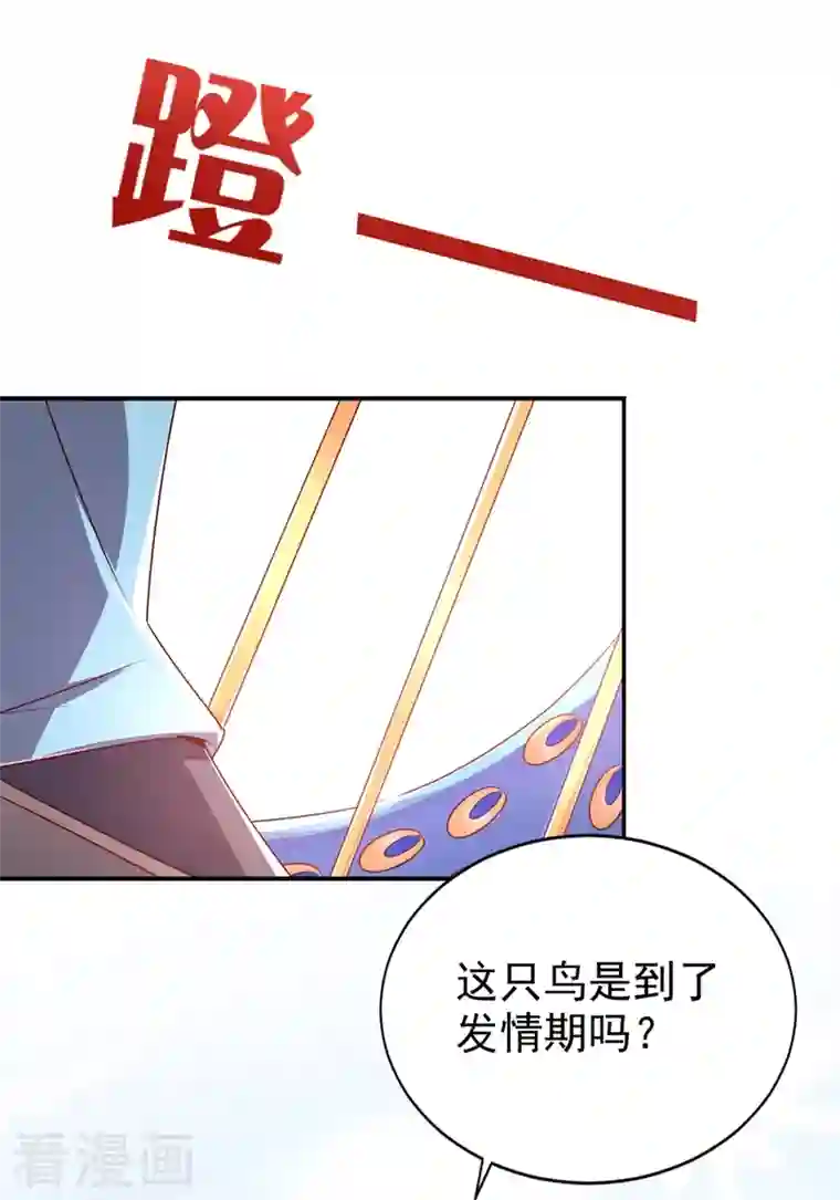 天降萌宝小熊猫：萌妃来袭第37话 会八国语言的网红孔雀