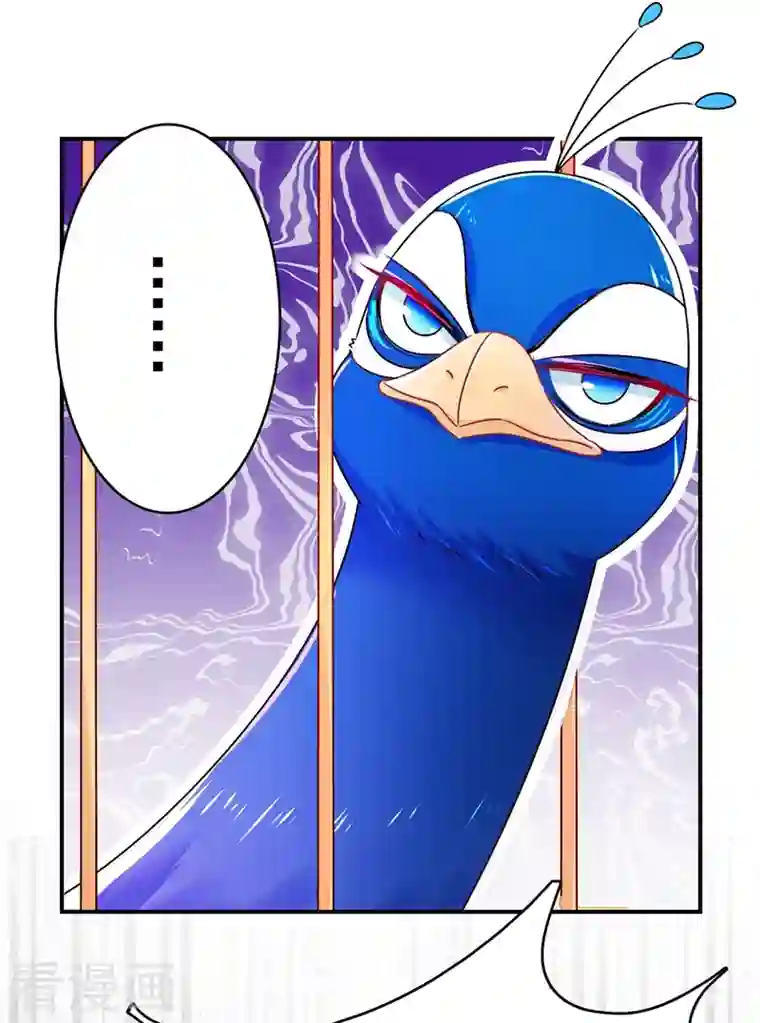 天降萌宝小熊猫：萌妃来袭第37话 会八国语言的网红孔雀