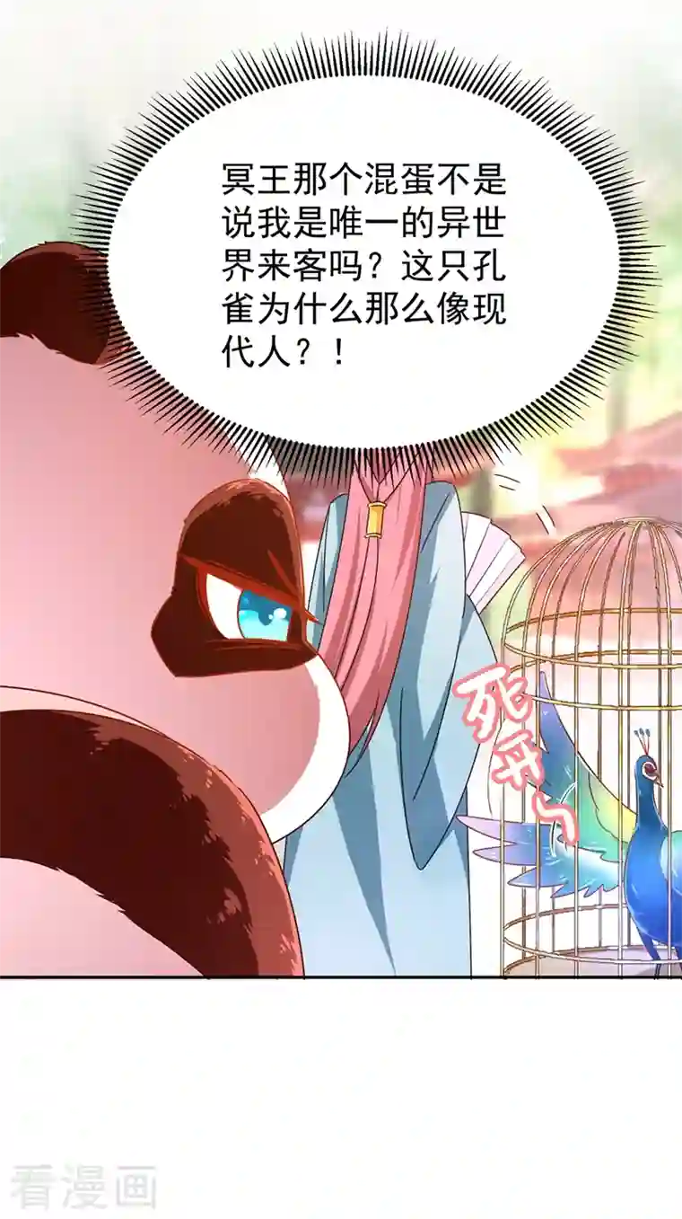 天降萌宝小熊猫：萌妃来袭第37话 会八国语言的网红孔雀