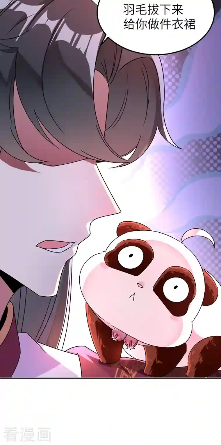 天降萌宝小熊猫：萌妃来袭第37话 会八国语言的网红孔雀