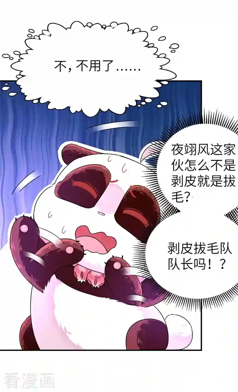 天降萌宝小熊猫：萌妃来袭第37话 会八国语言的网红孔雀