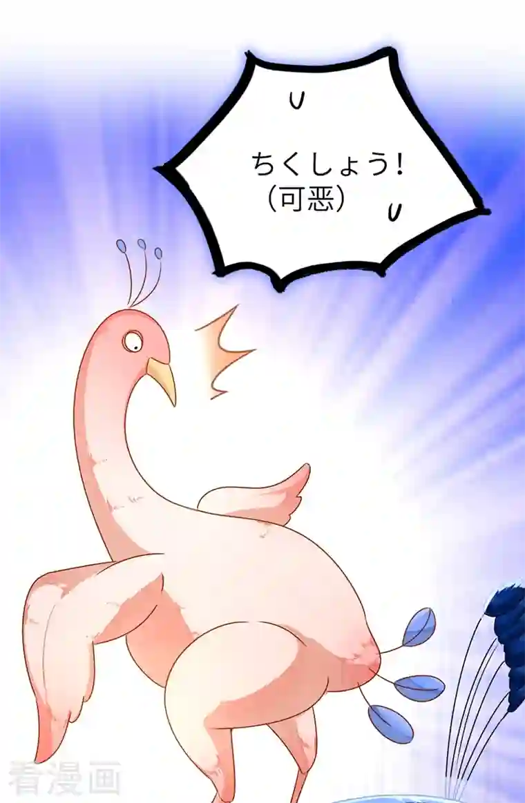 天降萌宝小熊猫：萌妃来袭第37话 会八国语言的网红孔雀