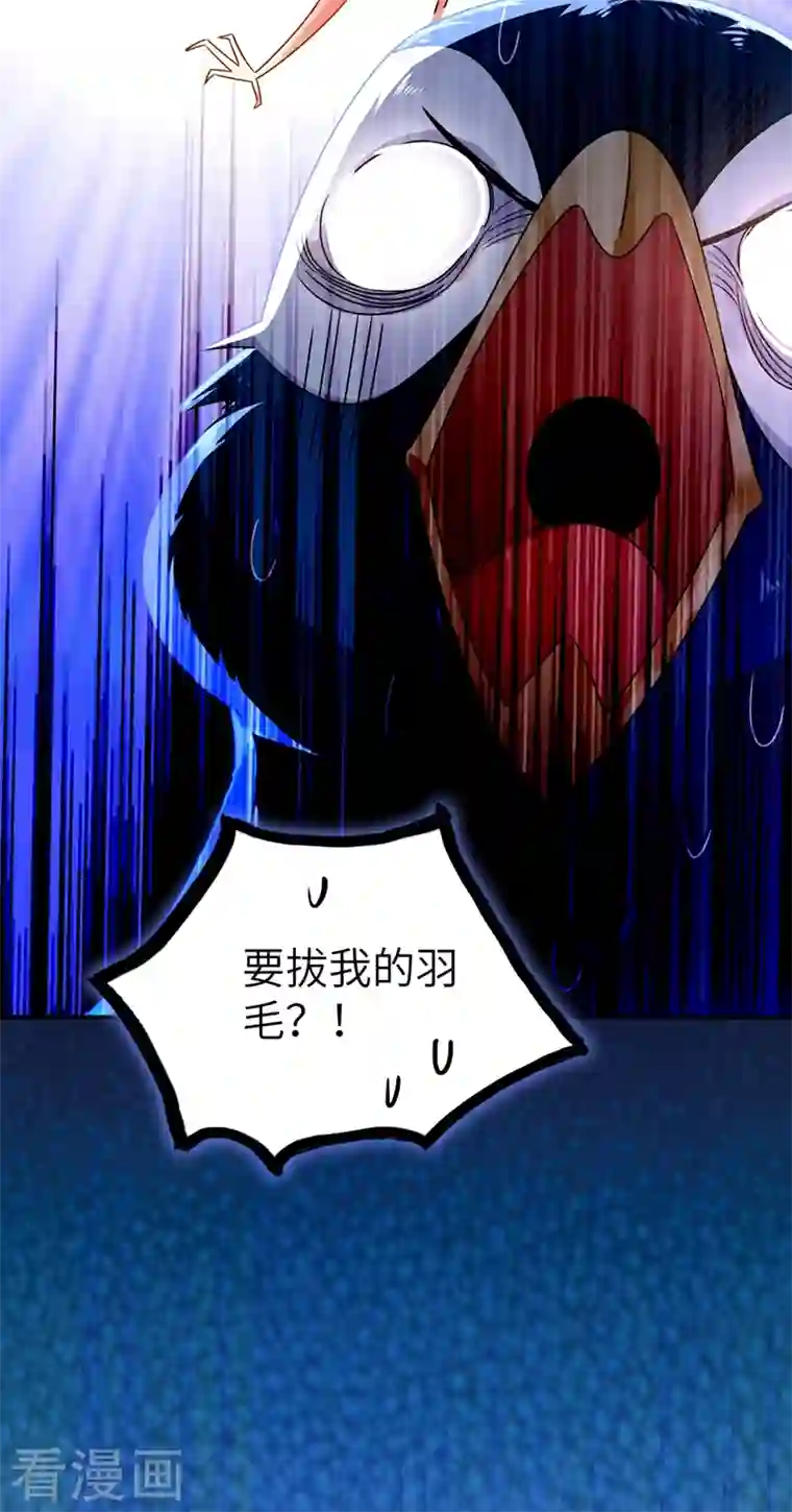 天降萌宝小熊猫：萌妃来袭第37话 会八国语言的网红孔雀