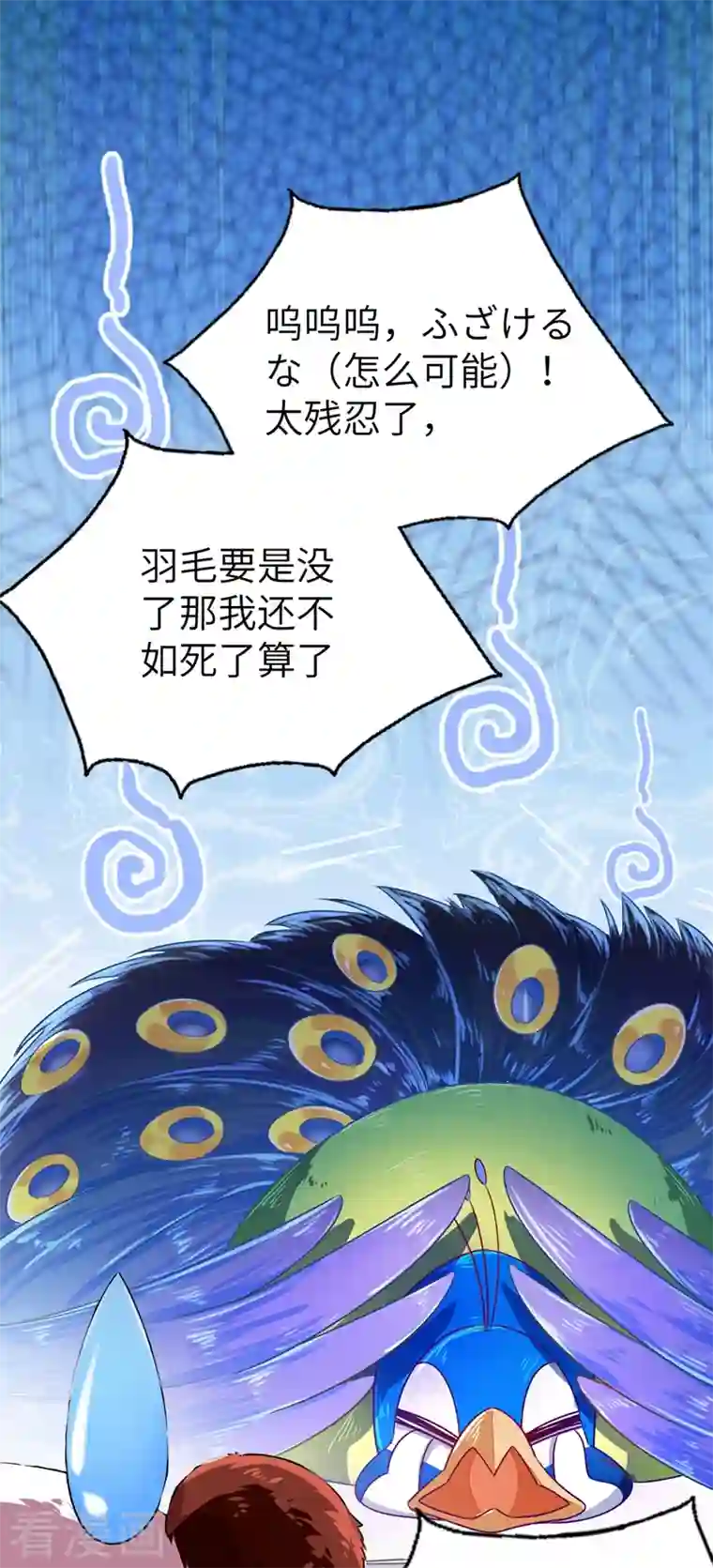 天降萌宝小熊猫：萌妃来袭第37话 会八国语言的网红孔雀