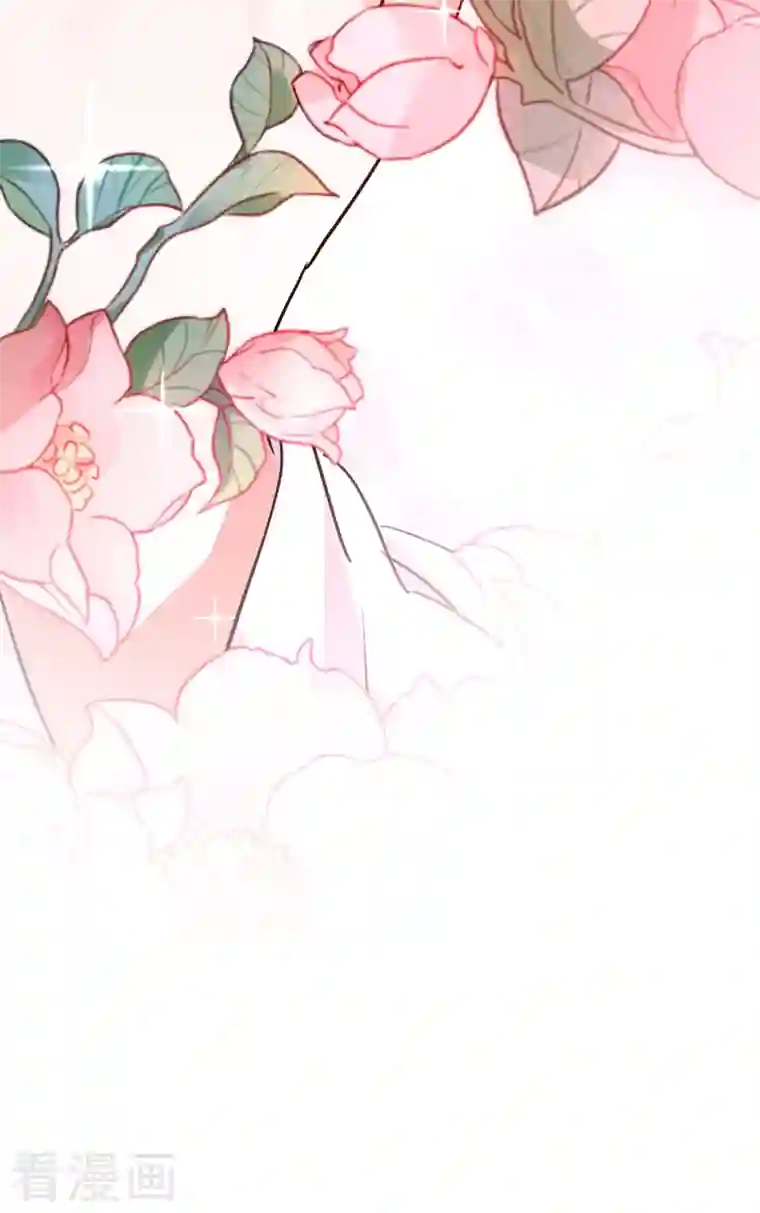 天降萌宝小熊猫：萌妃来袭第37话 会八国语言的网红孔雀