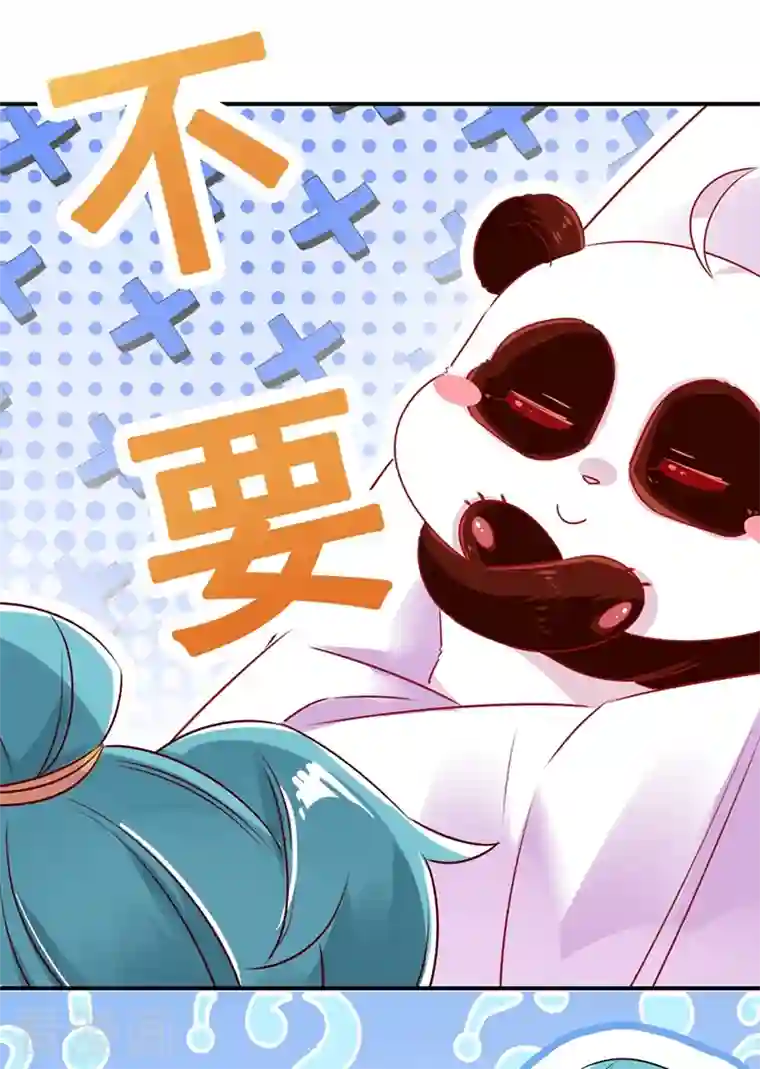 天降萌宝小熊猫：萌妃来袭第37话 会八国语言的网红孔雀