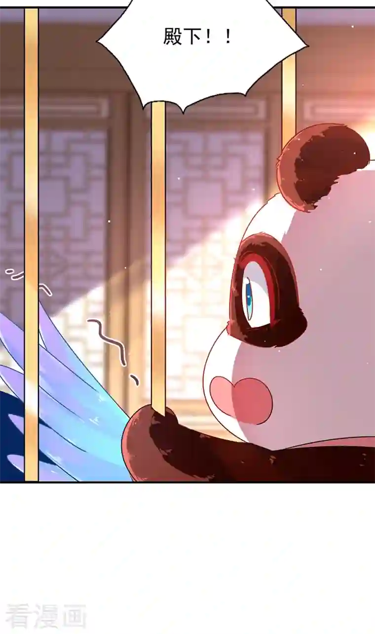 天降萌宝小熊猫：萌妃来袭第39话 七天包退