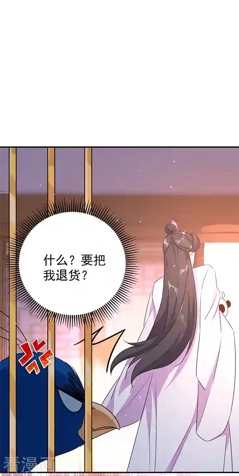 天降萌宝小熊猫：萌妃来袭第39话 七天包退