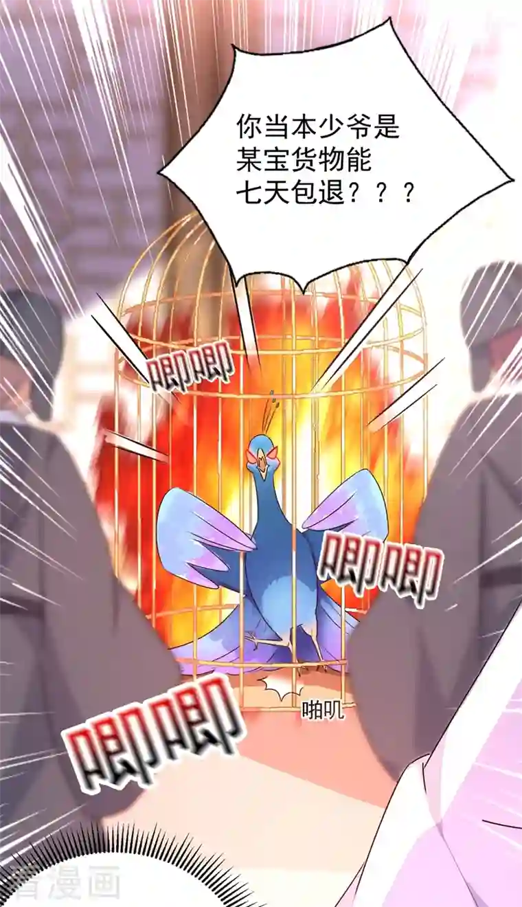 天降萌宝小熊猫：萌妃来袭第39话 七天包退