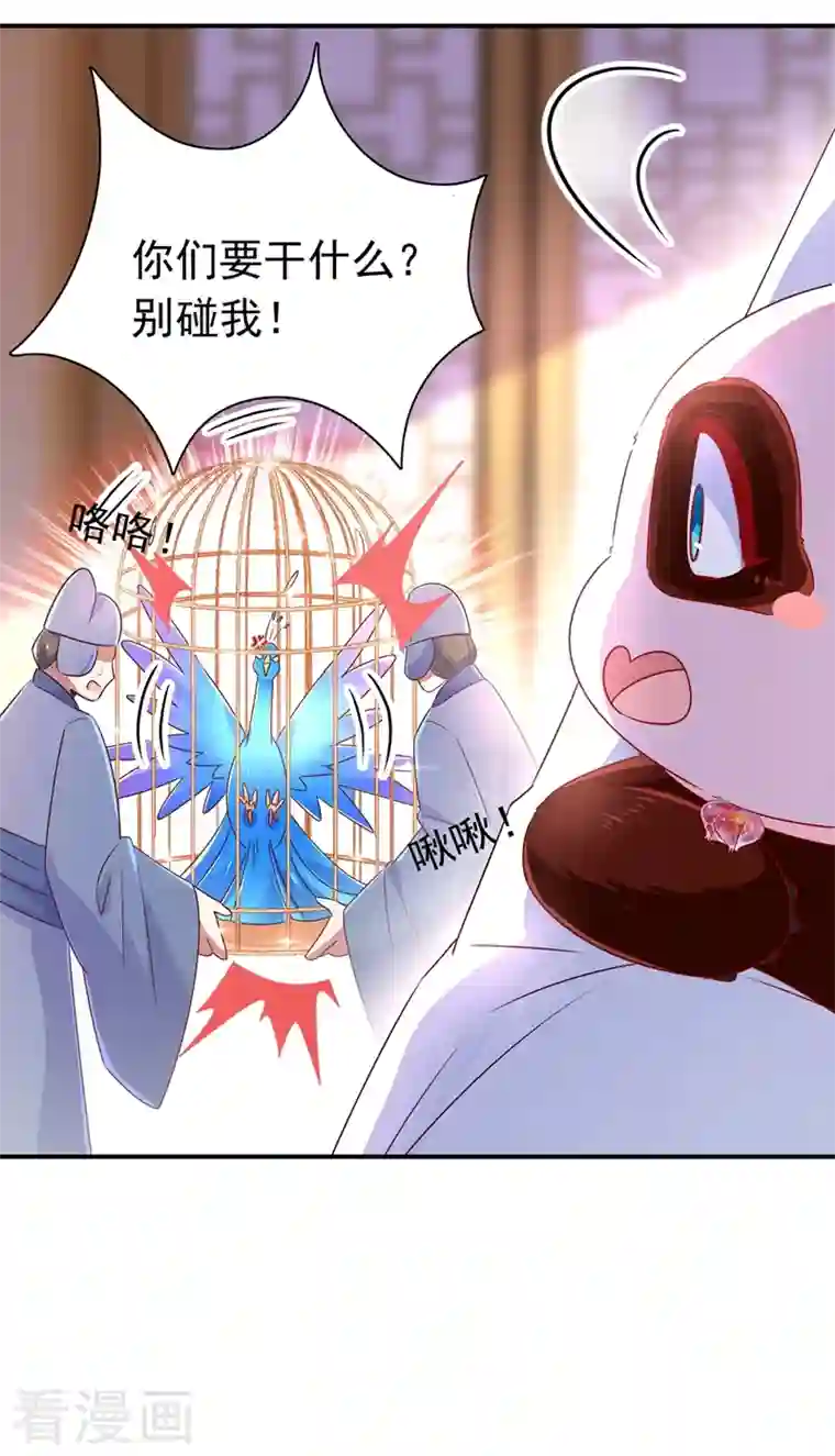 天降萌宝小熊猫：萌妃来袭第39话 七天包退