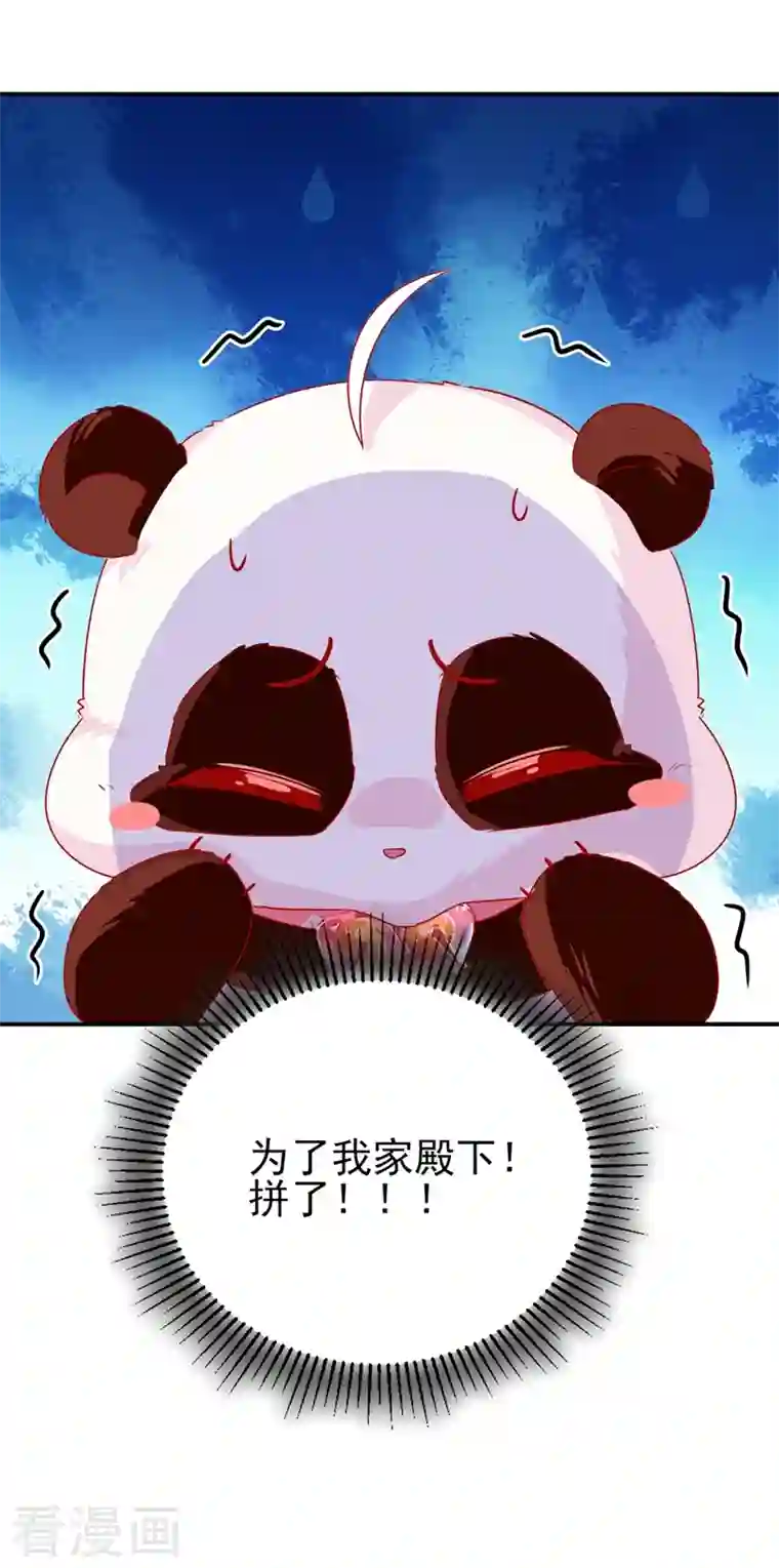 天降萌宝小熊猫：萌妃来袭第40话 男人心海底针