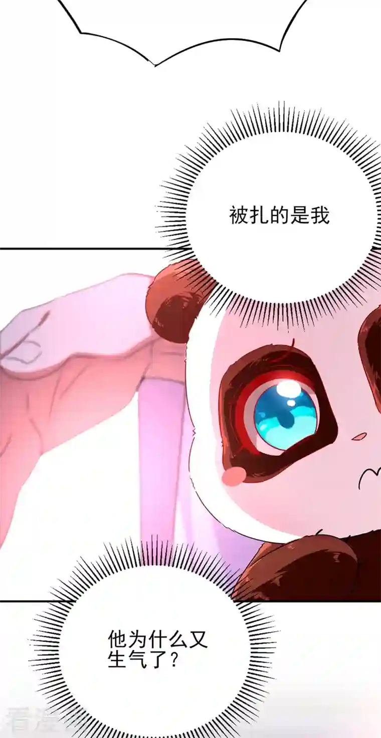 天降萌宝小熊猫：萌妃来袭第40话 男人心海底针