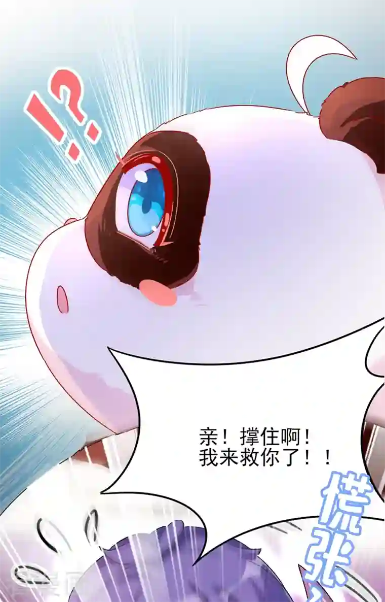 天降萌宝小熊猫：萌妃来袭第41话 恶毒的太后