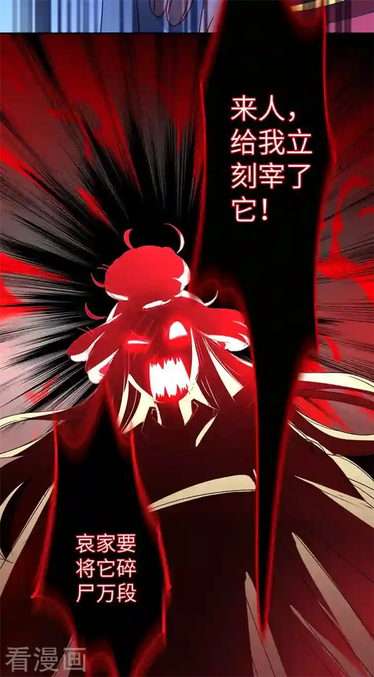 天降萌宝小熊猫：萌妃来袭第42话 到底谁让你来的？