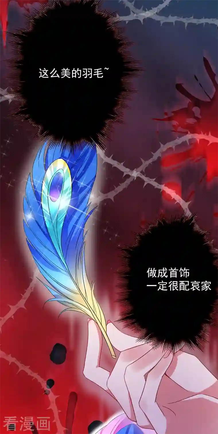 天降萌宝小熊猫：萌妃来袭第42话 到底谁让你来的？