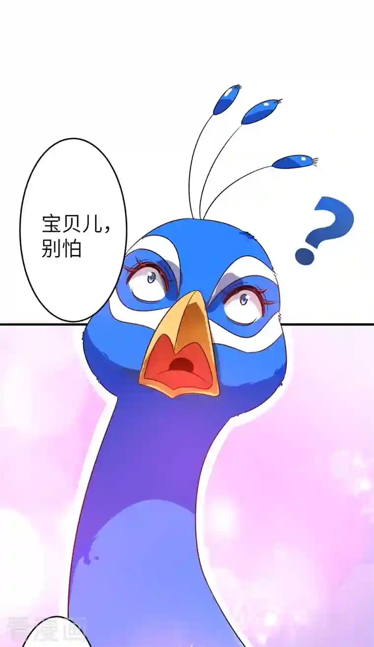 天降萌宝小熊猫：萌妃来袭第42话 到底谁让你来的？