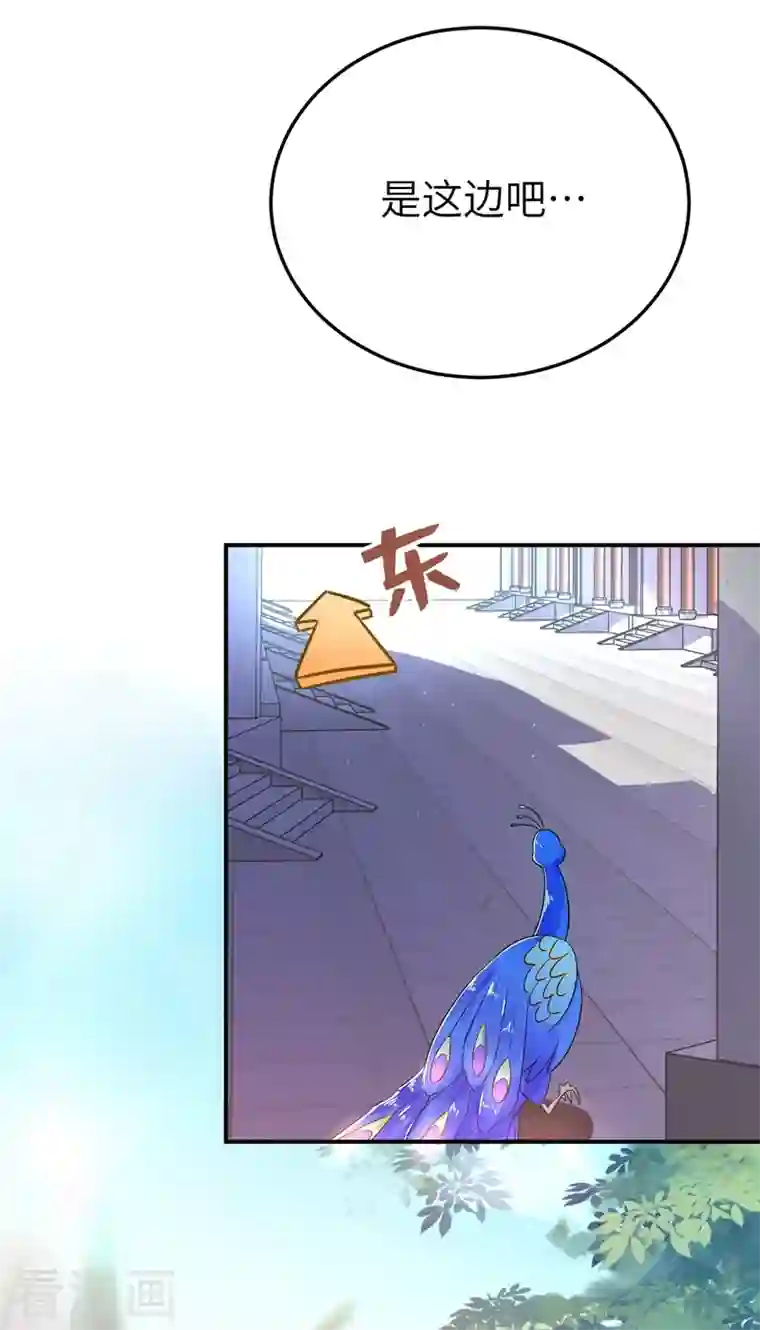 天降萌宝小熊猫：萌妃来袭第43话 喜欢看，就近点看！