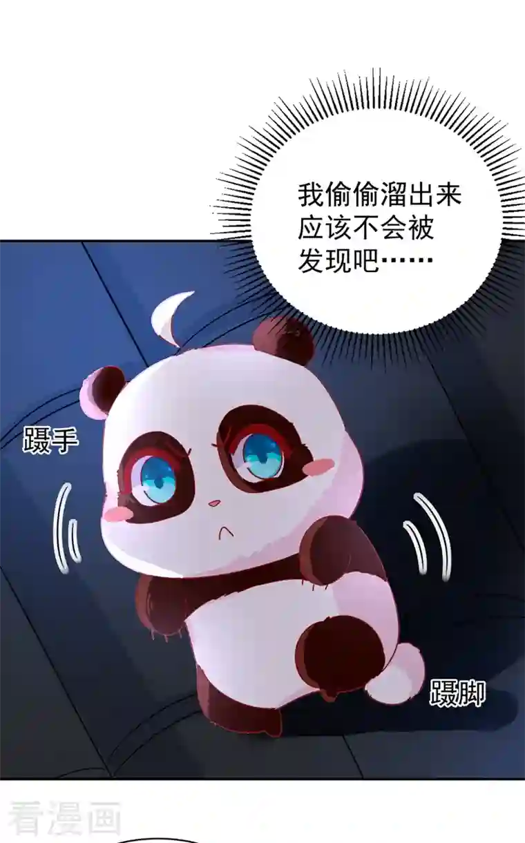 天降萌宝小熊猫：萌妃来袭第43话 喜欢看，就近点看！