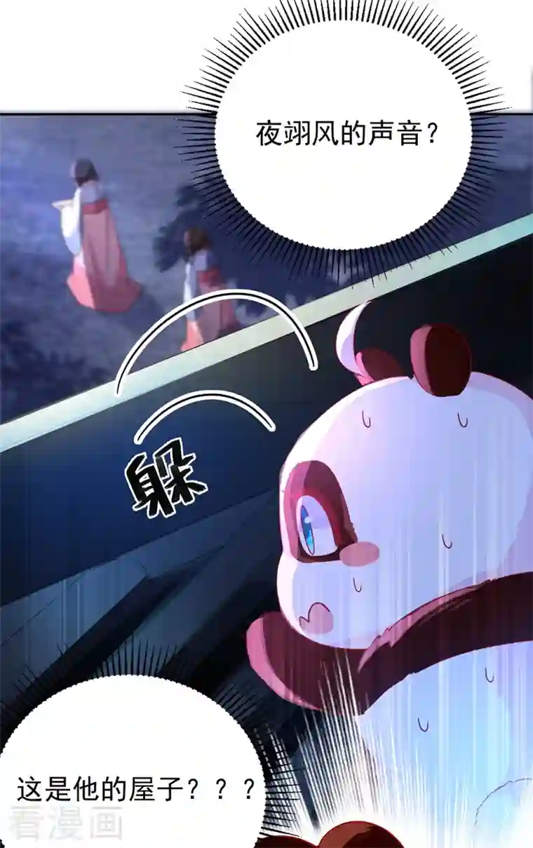 天降萌宝小熊猫：萌妃来袭第43话 喜欢看，就近点看！