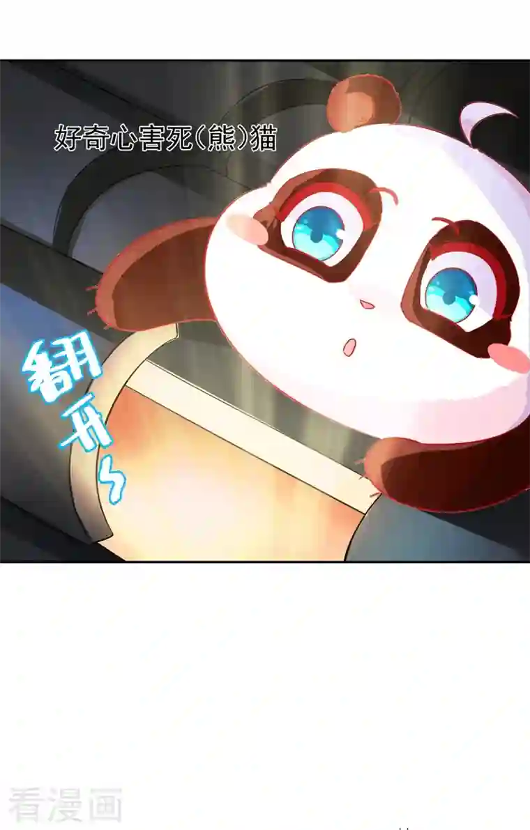 天降萌宝小熊猫：萌妃来袭第43话 喜欢看，就近点看！