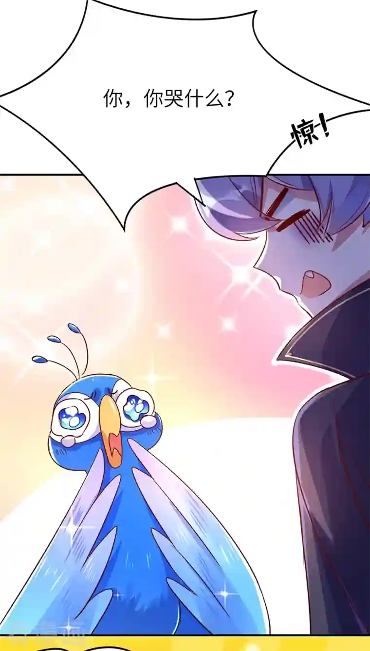 天降萌宝小熊猫：萌妃来袭第43话 喜欢看，就近点看！