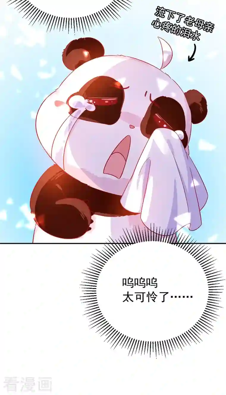 天降萌宝小熊猫：萌妃来袭第43话 喜欢看，就近点看！