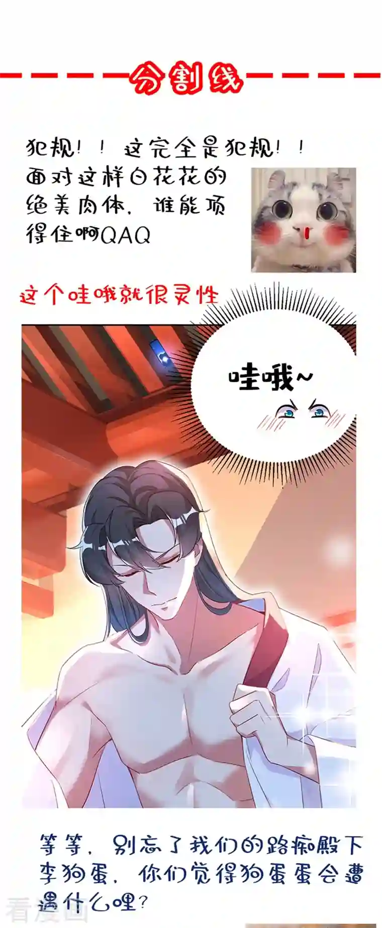 天降萌宝小熊猫：萌妃来袭第43话 喜欢看，就近点看！