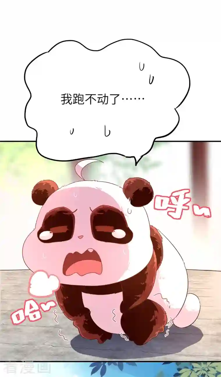 天降萌宝小熊猫：萌妃来袭第45话 两组CP碰面了