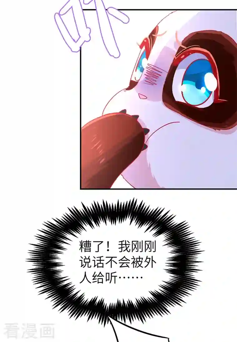 天降萌宝小熊猫：萌妃来袭第45话 两组CP碰面了