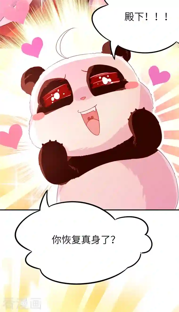 天降萌宝小熊猫：萌妃来袭第45话 两组CP碰面了