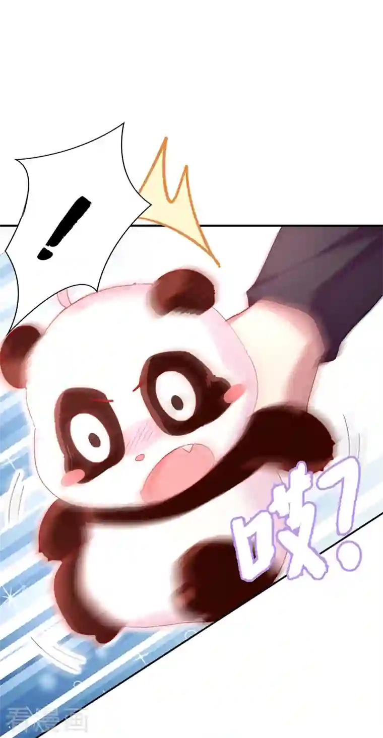 天降萌宝小熊猫：萌妃来袭第46话 醋坛本坛夜翊风