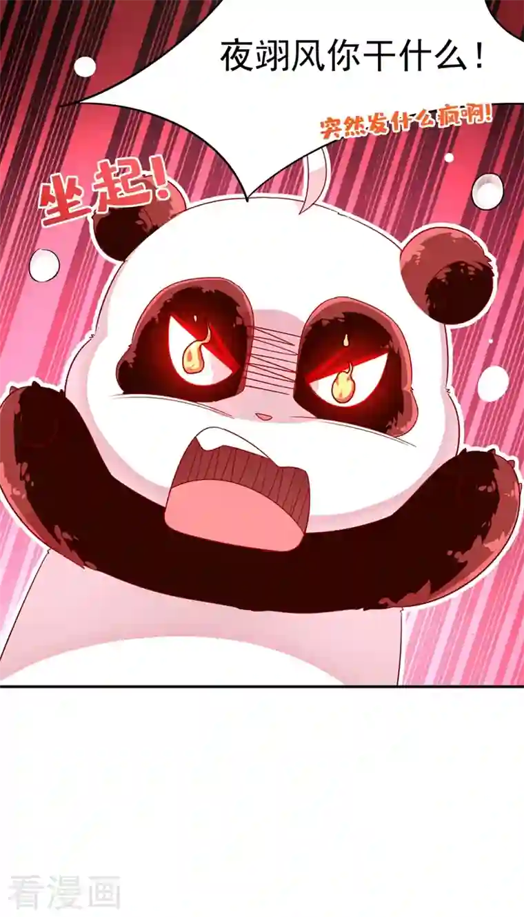 天降萌宝小熊猫：萌妃来袭第46话 醋坛本坛夜翊风
